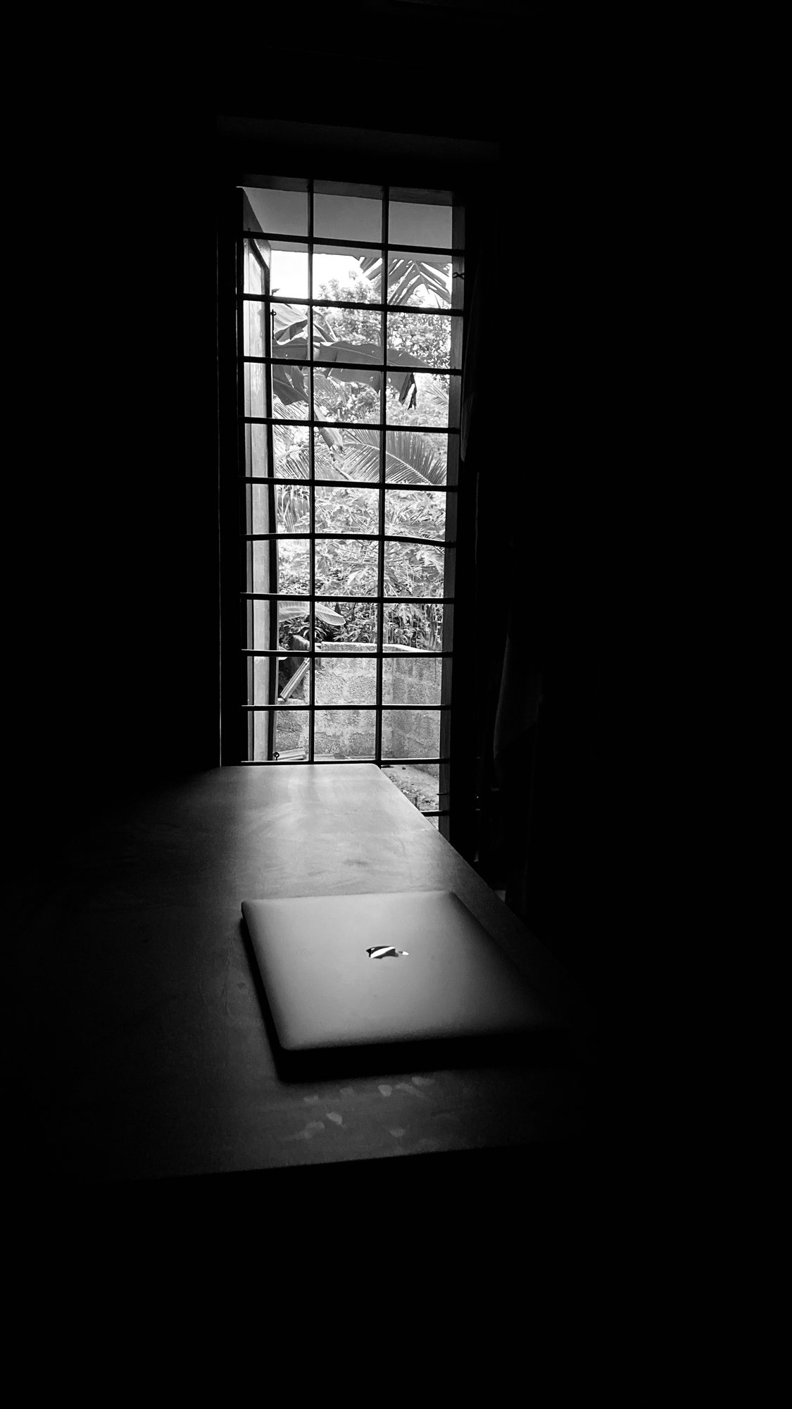 Window light